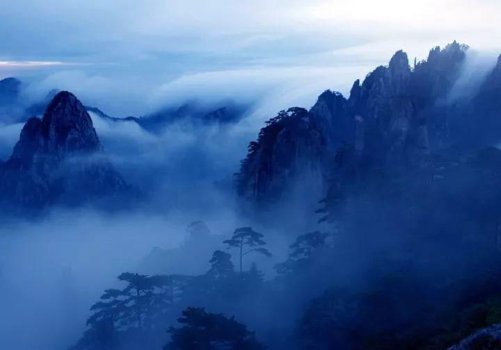 探寻天涯,畅谈如果你的另一半虐待动物,你会怎么看待他?互助平台